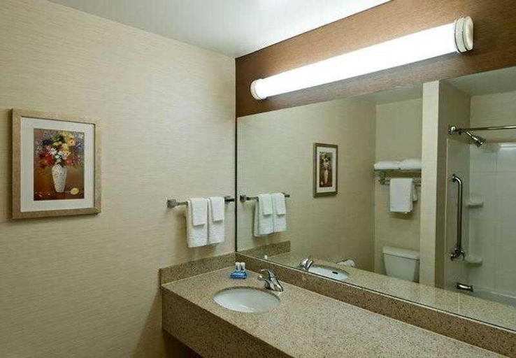 Bathroom 4, Fairfield Inn & Suites Lawton, Comanche