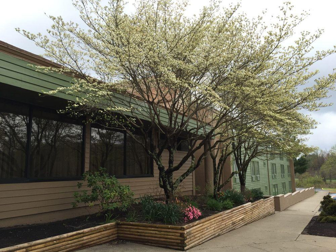 Exterior & Views 2, Holiday Lodge Hotel & Conference Center, Fayette