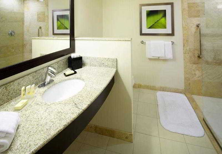 Bathroom 4, Courtyard Pittsburgh Washington/Meadow Lands, Washington