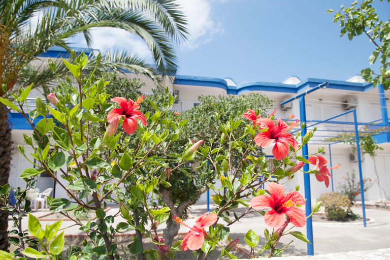 Public Area 2, Maritsa Studios, South Aegean