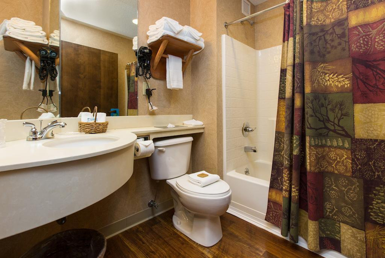 Bathroom 4, Stoney Creek Inn, Boone