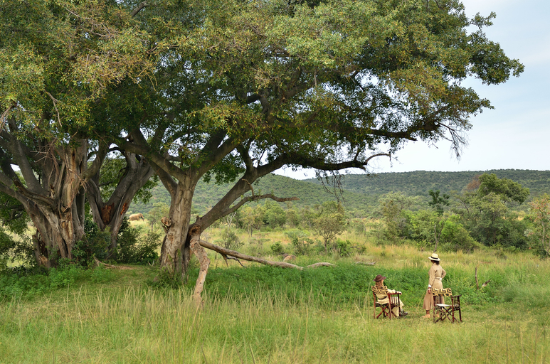 Others 4, Makweti Safari Lodge, Waterberg