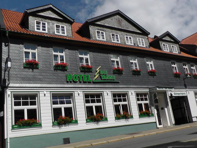 Exterior & Views 2, Die Tanne, Goslar