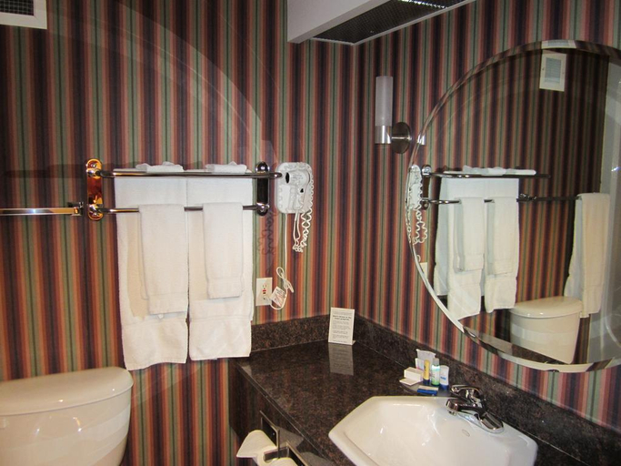 Bathroom 4, Woodlands Inn, Northern Rockies