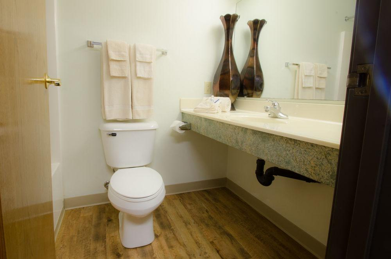 Bathroom 4, Extended Stay Airport, Brown
