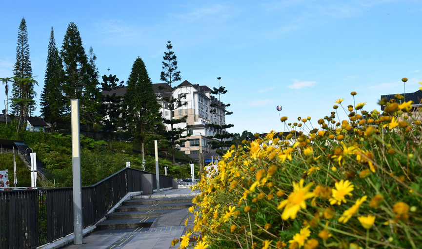 Avillion Cameron Highland, Cameron Highlands