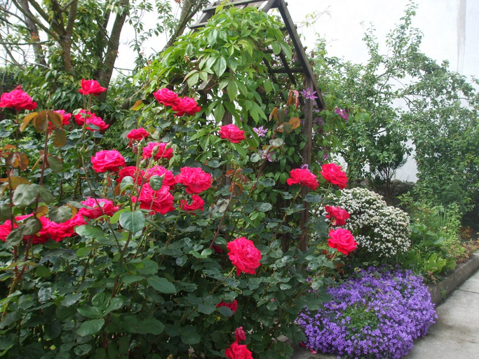 Exterior & Views 4, Green Hill B&B