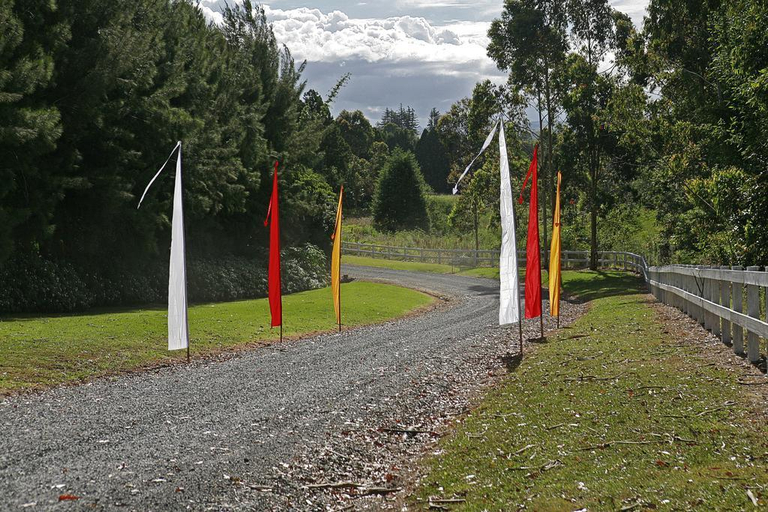 Others 4, Kerikeri Park Motel, Far North
