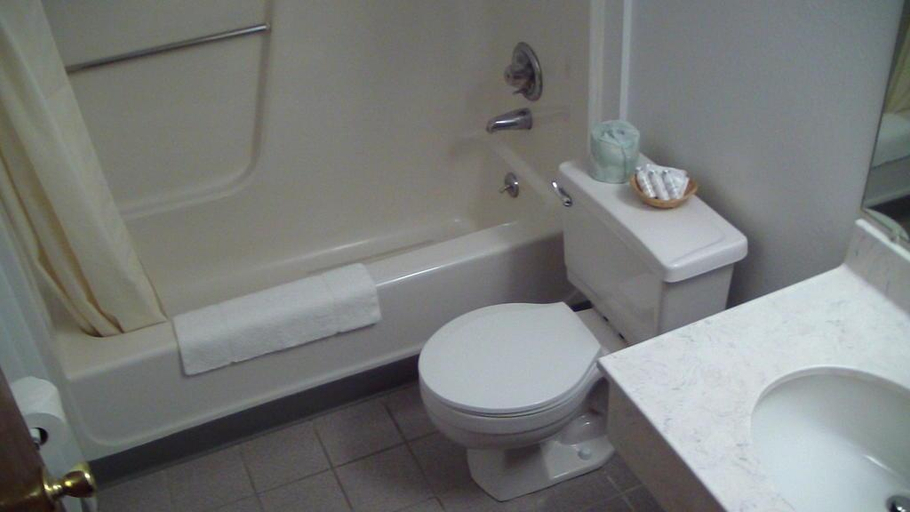 Bathroom 3, Budget Inn Express, Campbell