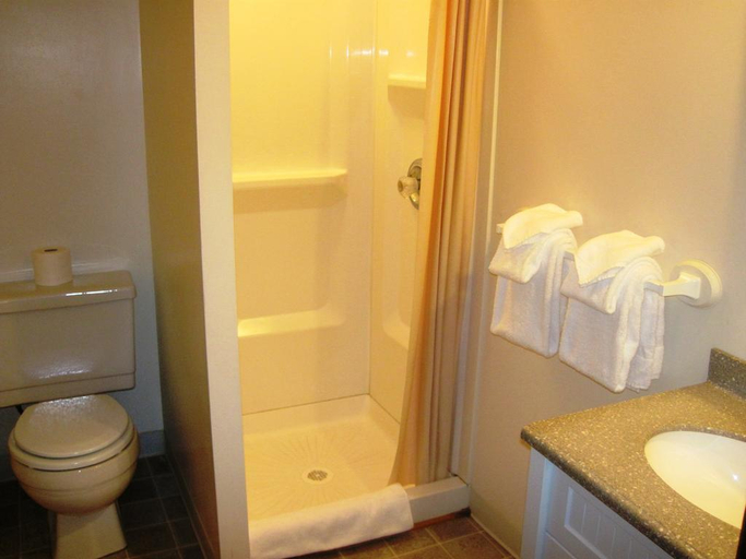 Bathroom 4, Mountain Sports Inn, Rutland