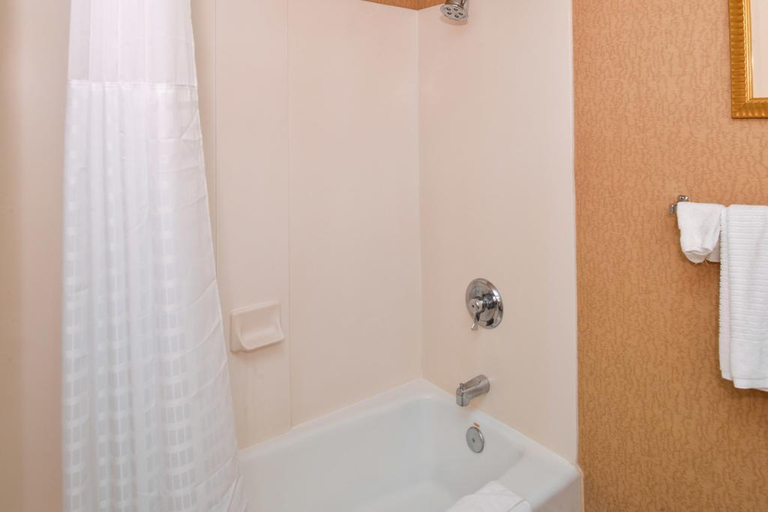 Bathroom 5, Comfort Inn & Suites Susanville, Lassen