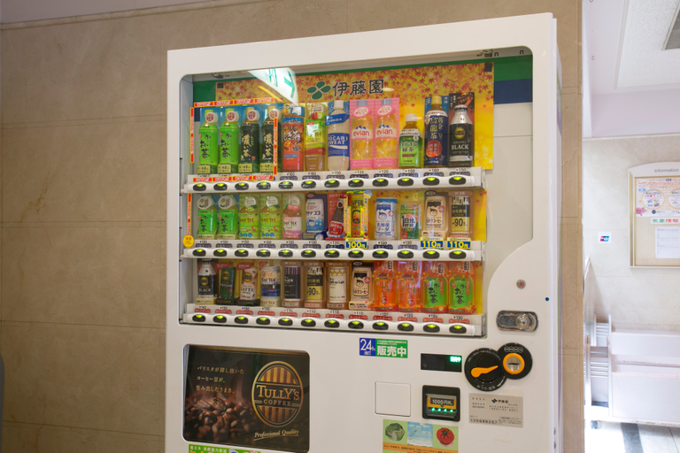 Public Area 3, Yonago Washington Hotel Plaza, Sakaiminato