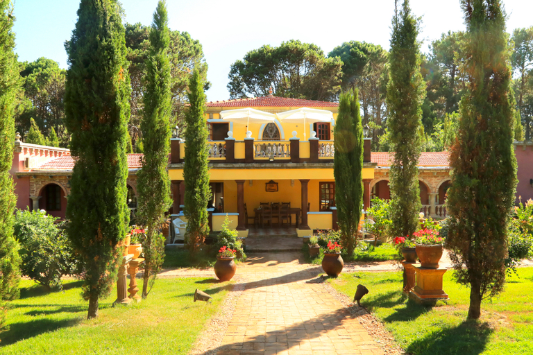 Exterior & Views 2, Villa Toscana Boutique, n.a339