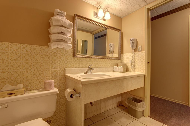 Bathroom 5, Owen Sound Inn, Grey