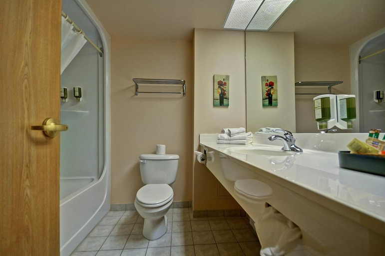 Bathroom 4, Chateau Logue Hôtel, La Vallée-de-la-Gatineau