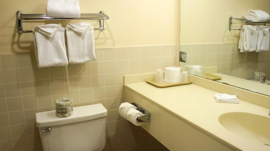 Bathroom 4, Island Inn, Mohave