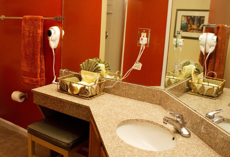 Bathroom 4, Gatlinburg Town Square, Sevier
