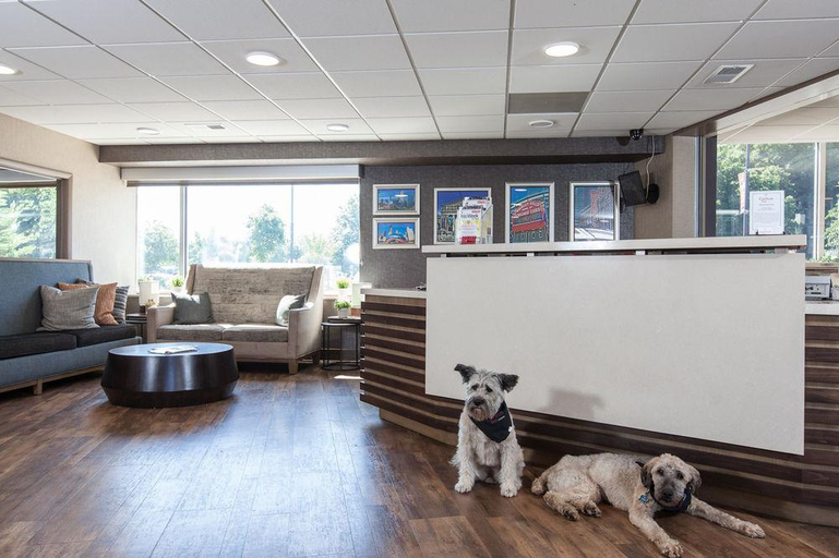 Public Area 3, Carlton Inn Midway, Cook