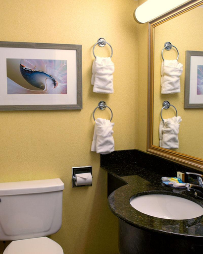 Bathroom 4, The Oceanfront Inn Virginia Beach, Virginia Beach