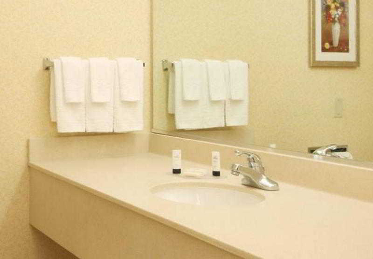 Bathroom 5, Fairfield Inn & Suites Las Vegas South, Clark