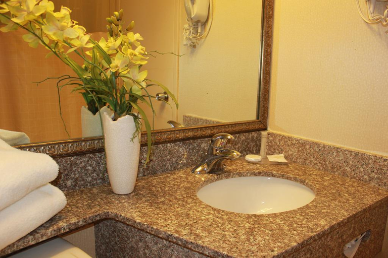 Bathroom 4, Confederation Place - Hotel, Frontenac