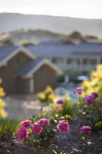 Exterior & Views 2, Rosewood Sand Hill, San Mateo