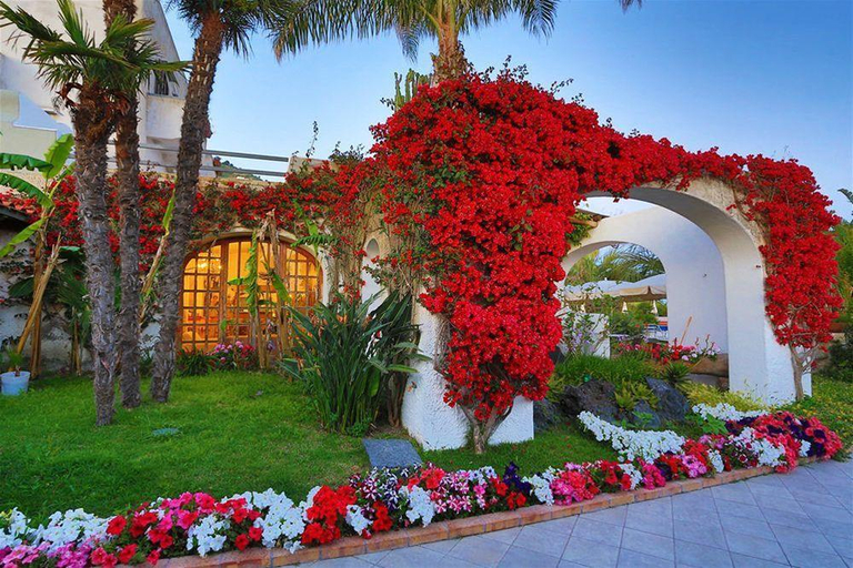 Exterior & Views 2, B&B Hotel Ischia San Nicola, Napoli