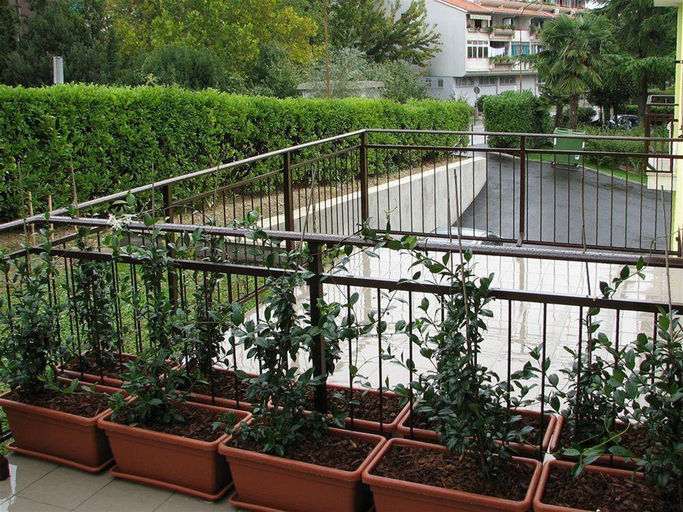 Exterior & Views 2, Keltika, Izola