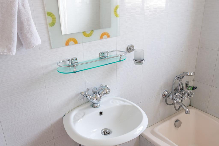 Bathroom 5, Lake Star, Gandaki