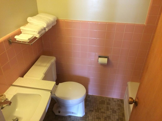Bathroom 4, Alma Motel Alma, Gratiot