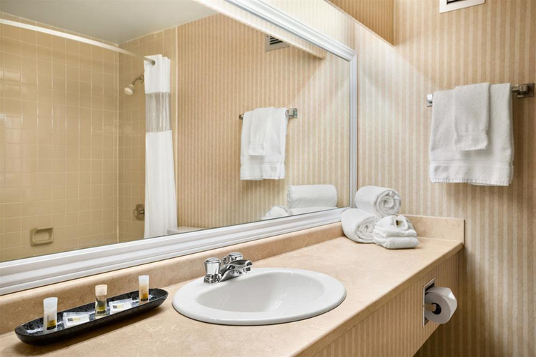 Bathroom 4, Days Inn & Conference Centre Timmins, Cochrane