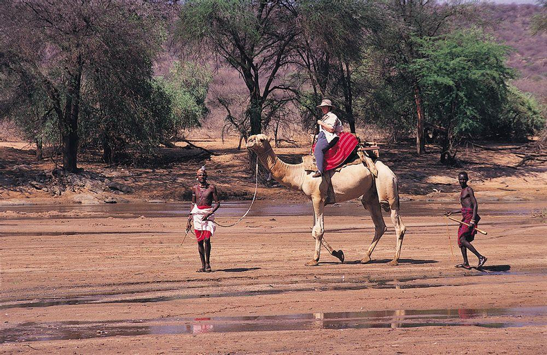 Samburu Intrepids Camp, Isiolo North