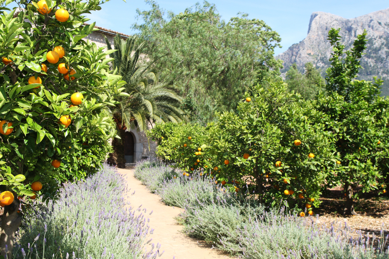 Exterior & Views 2, Hotel Finca Ca's Curial, Baleares