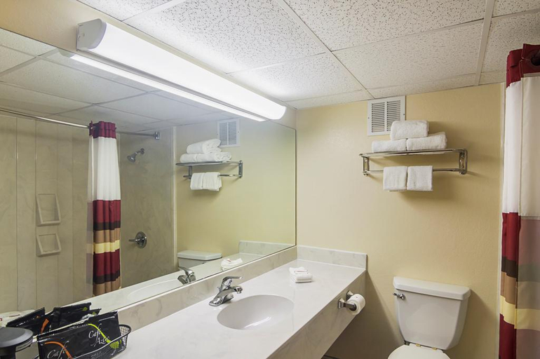 Bathroom 5, Red Roof Inn Lubbock, Lubbock