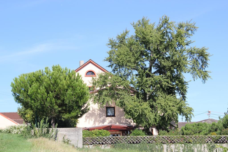 Exterior & Views 2, Hotel Tenner, Neustadt an der Weinstraße