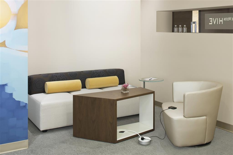 Public Area 4, The Westin Arlington, Arlington