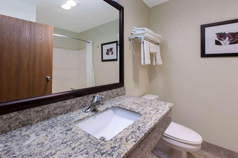 Bathroom 5, Quality Inn Petoskey, Emmet