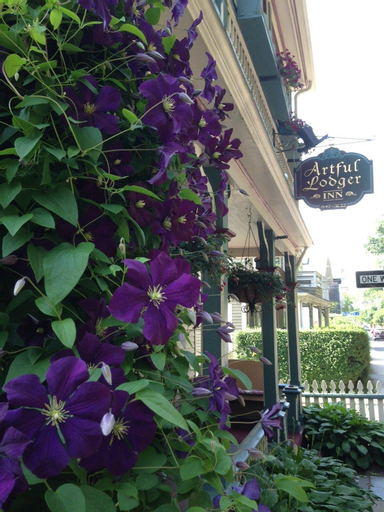 Artful Lodger Inn, Newport