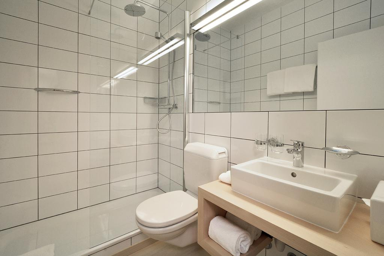 Bathroom 3, Des Alpes Geneva, Genève