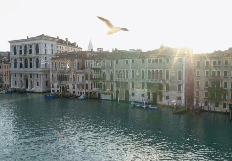 Sport & Beauty, Ca' Angeli, Venezia