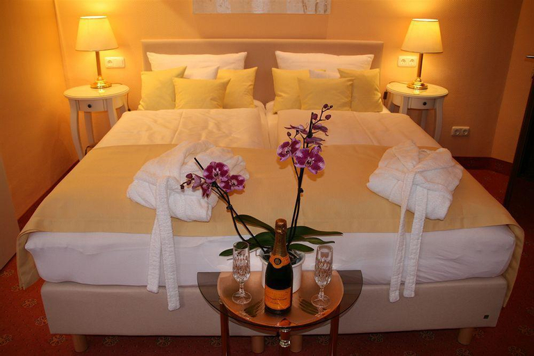 Hotel Modena, Hof