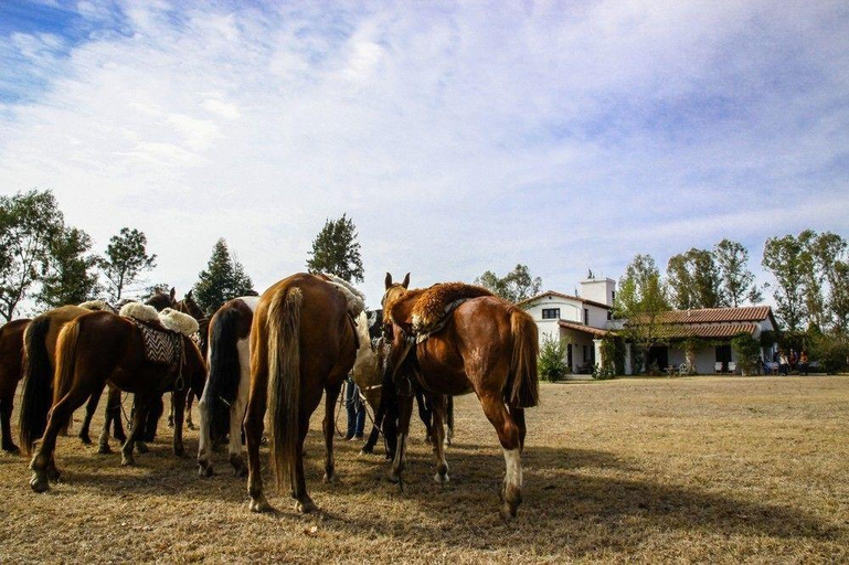 Food & Drinks, Finca Valentina, Rosario de Lerma