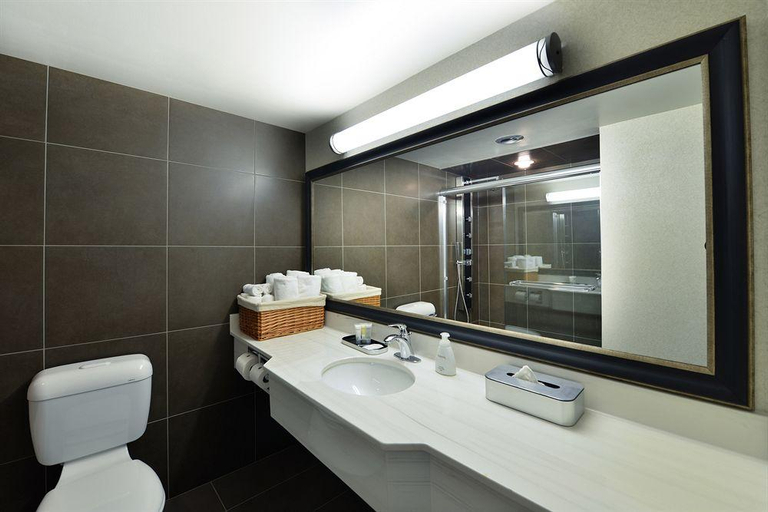 Bathroom 5, Victoria Inn Hotel & Convention Centre, Division No. 11