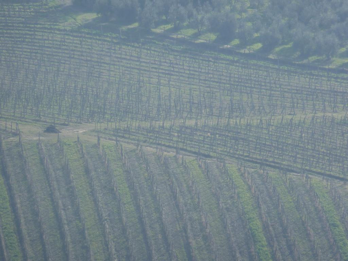 I Coppi, Siena