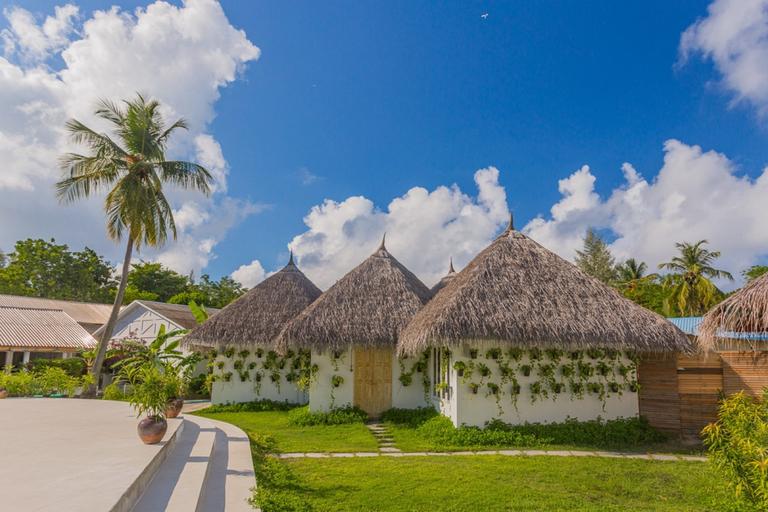 Exterior & Views 2, Equator Village Resort