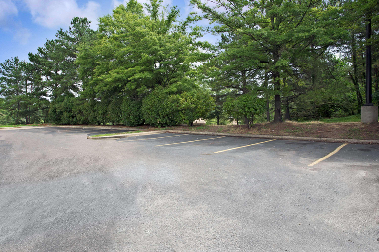 Super 8 by Wyndham Raleigh Downtown, Wake