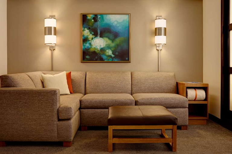 Public Area 2, Hyatt Place Raleigh-Durham Airport, Wake