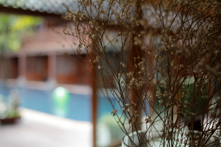 Exterior & Views 2, Baan U Sabai Boutique House, Muang Chiang Mai