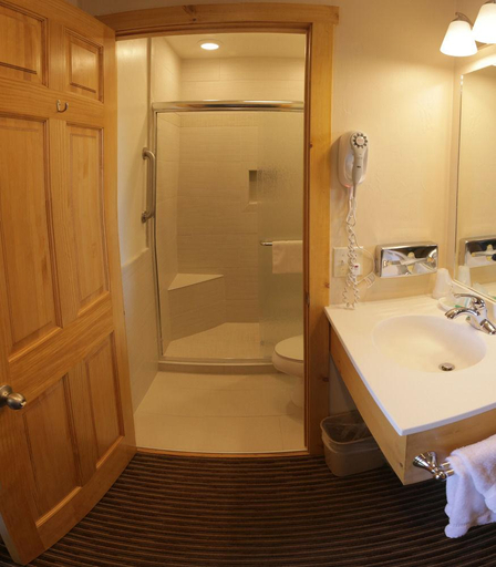 Bathroom 3, Rabbit Ears Motel, Routt
