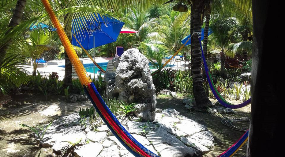 Others 5, Casa de Las Tortugas I Tour Akumal, Cozumel
